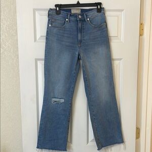 Everlane Blue Straight Leg Jeans